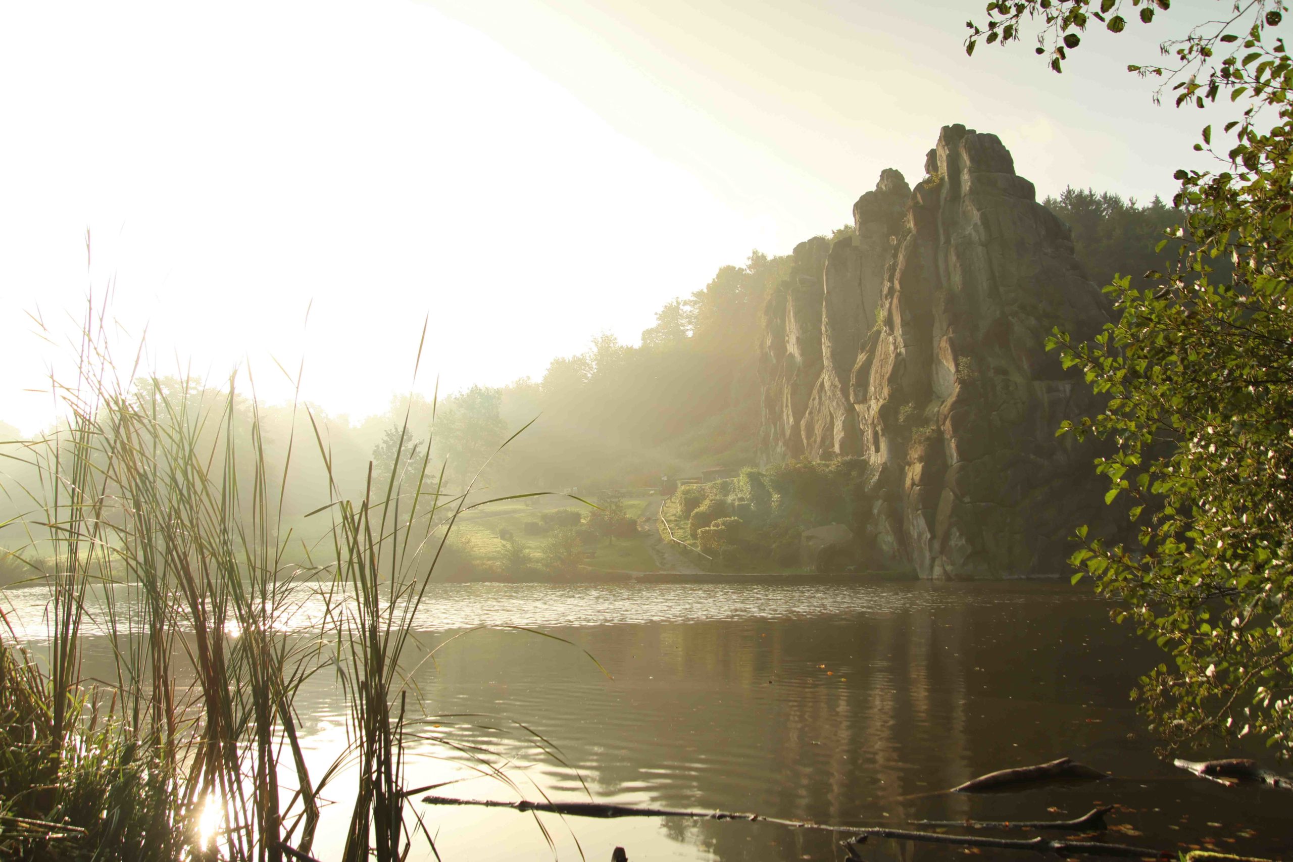 20230930_085336_2399