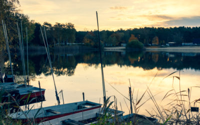 Herbst am Bestensee