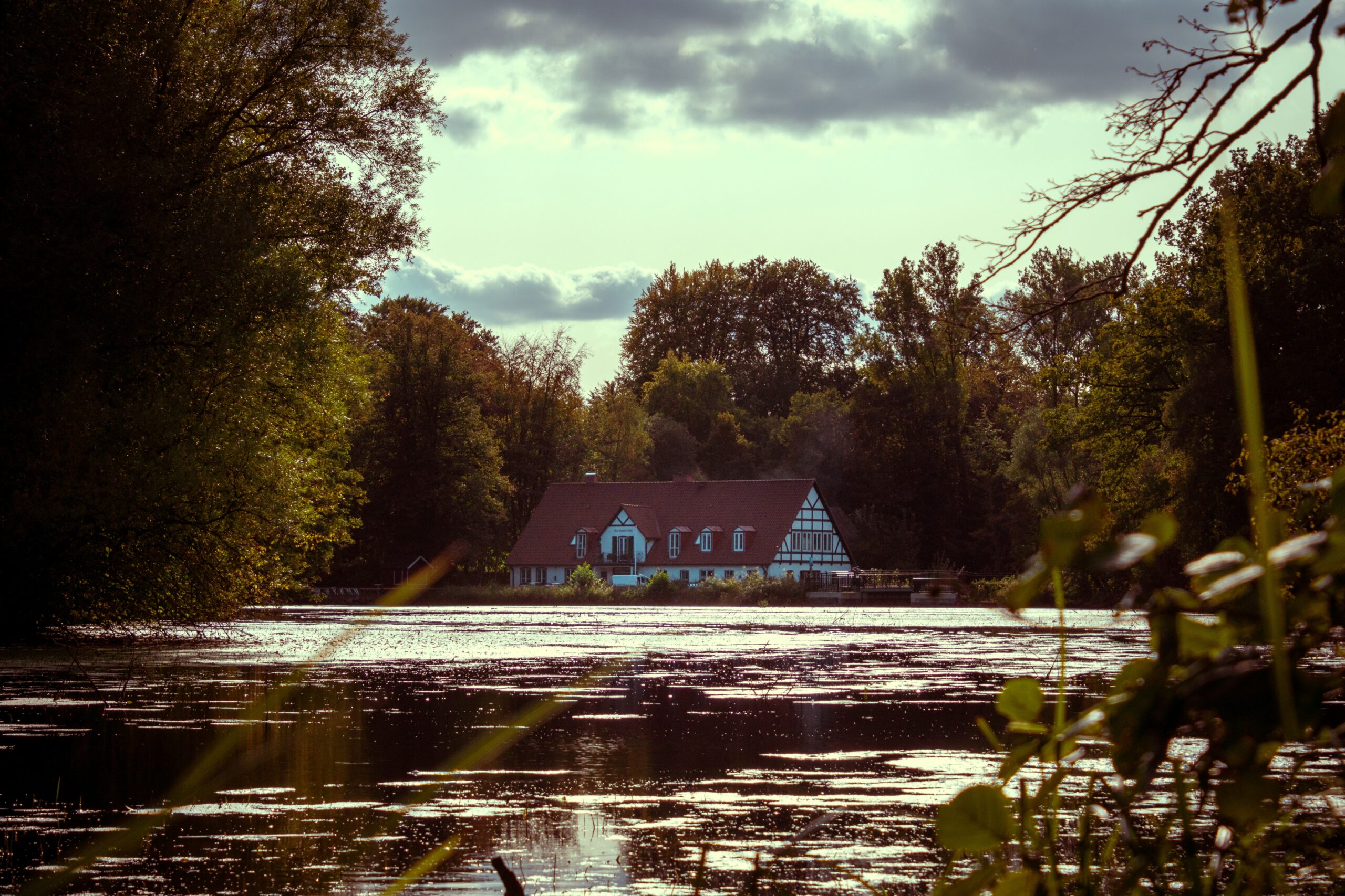 20240914-154136-IMG_0249